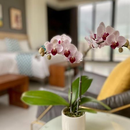 Follow The Cloud B&B Jialin Номер фото